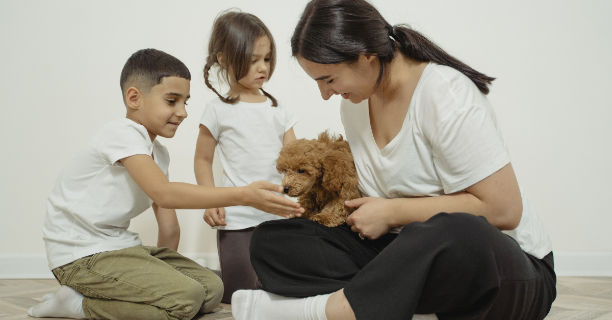 Mutual Respect: The Key to Keeping Both Your Child and Pet Safe