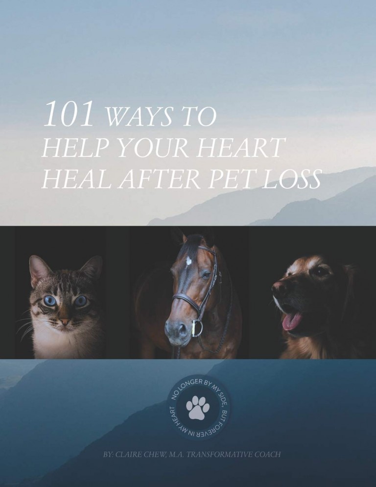 101 Ways To Help Your Heart Heal After Pet Loss by Claire Chew