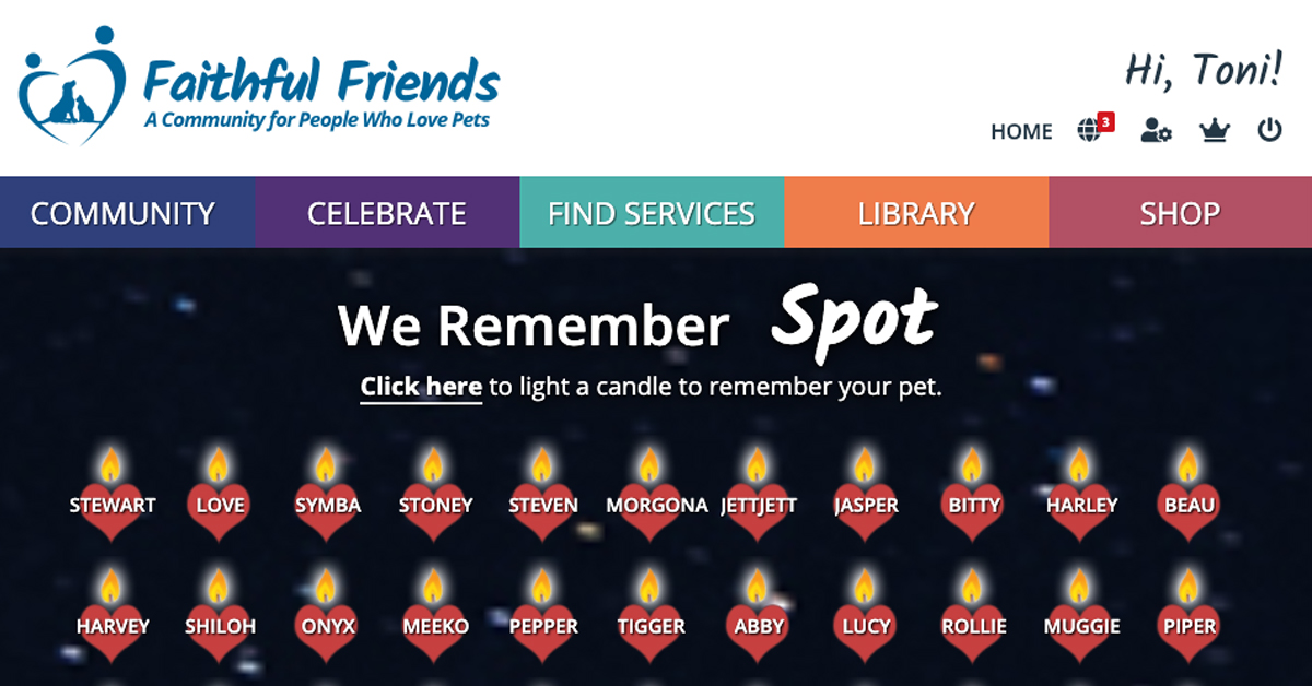 Find Pet Services Faithful Friends