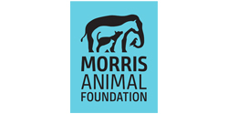 Morris Animal Foundation