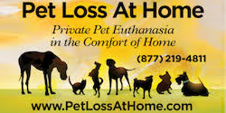 Pet Loss at Home