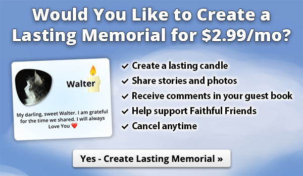 Create A Lasting Memorial for $2.99/mo