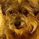 Profile picture of Patricia