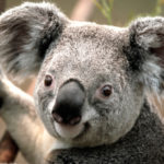 Profile picture of elisusa