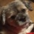 Profile picture of Teresa