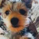 Profile picture of Sandra