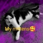 Profile picture of Michele