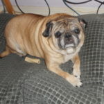 Profile picture of Kimberley Rodgers