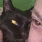 Profile picture of leslie Ann