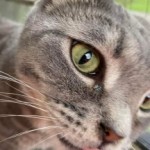 Profile picture of Sarah