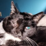 Profile picture of Amy