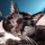 Profile picture of Amy