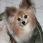 Profile picture of Leanna