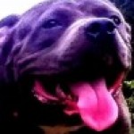 Profile picture of Miracle