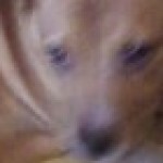 Profile picture of Vickie