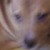 Profile picture of Vickie