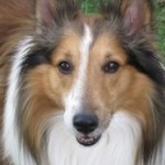 Profile picture of Karen