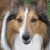 Profile picture of Karen