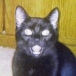 Profile picture of Heidi Hermone