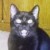 Profile picture of Heidi Hermone