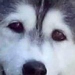 Profile picture of Kimberly