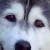 Profile picture of Kimberly