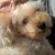 Profile picture of Janet/Lawrence