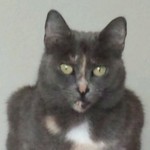 Profile picture of Margaret Carter