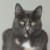 Profile picture of Margaret Carter