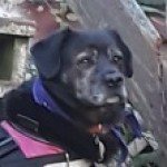 Profile picture of Deb