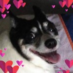 Profile picture of Terri
