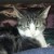 Profile picture of KiKi