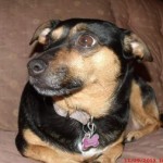 Profile picture of Dalisa Green