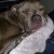Profile picture of corky