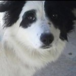 Profile picture of Leisa