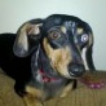 Profile picture of Missy