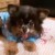 Profile picture of Diane