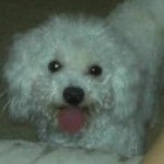 Profile picture of Tammy