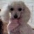 Profile picture of Lissette