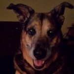 Profile picture of Rachel Lynn