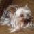 Profile picture of Cashew