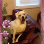 Profile picture of Tasha