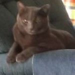 Profile picture of CHRISTINE