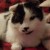 Profile picture of Bill