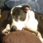 Profile picture of Cherie