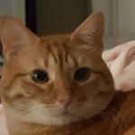 Profile picture of Jennifer
