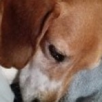 Profile picture of Tina