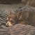 Profile picture of Robie