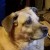 Profile picture of Dona