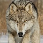 Profile picture of Juanita